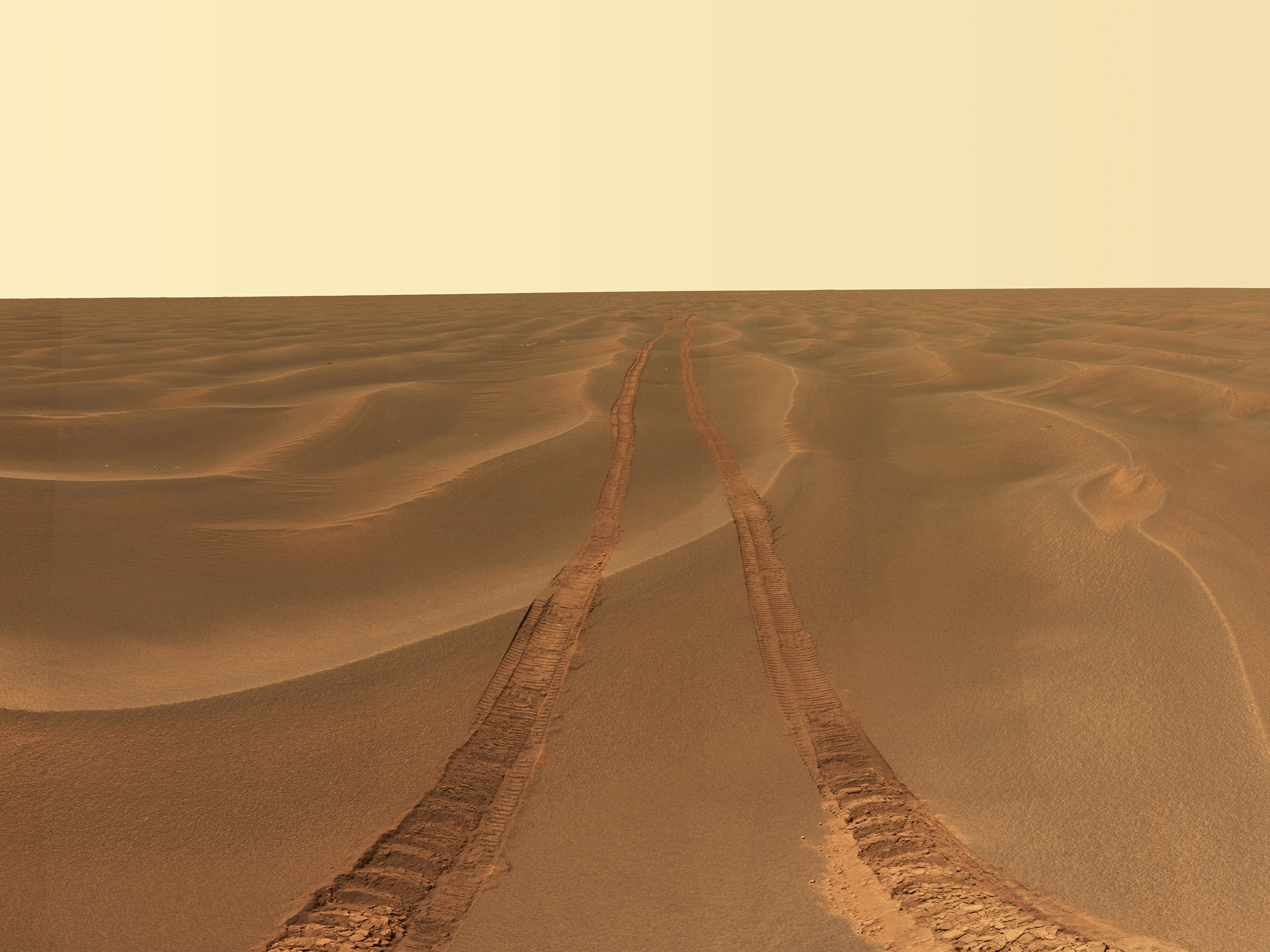 Opportunity